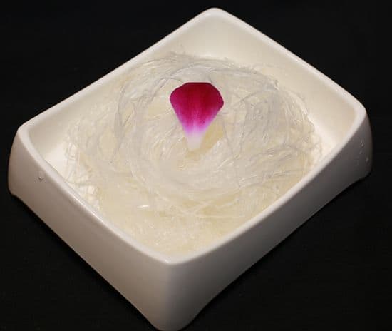Bean Vermicelli
