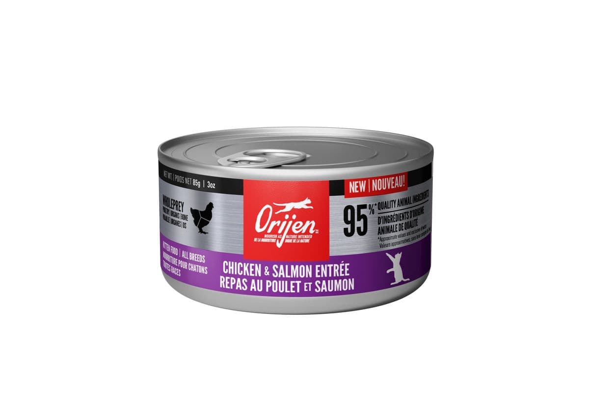 ORIJEN Chicken & Salmon Entree Kitten Wet Cat Food (3 oz)