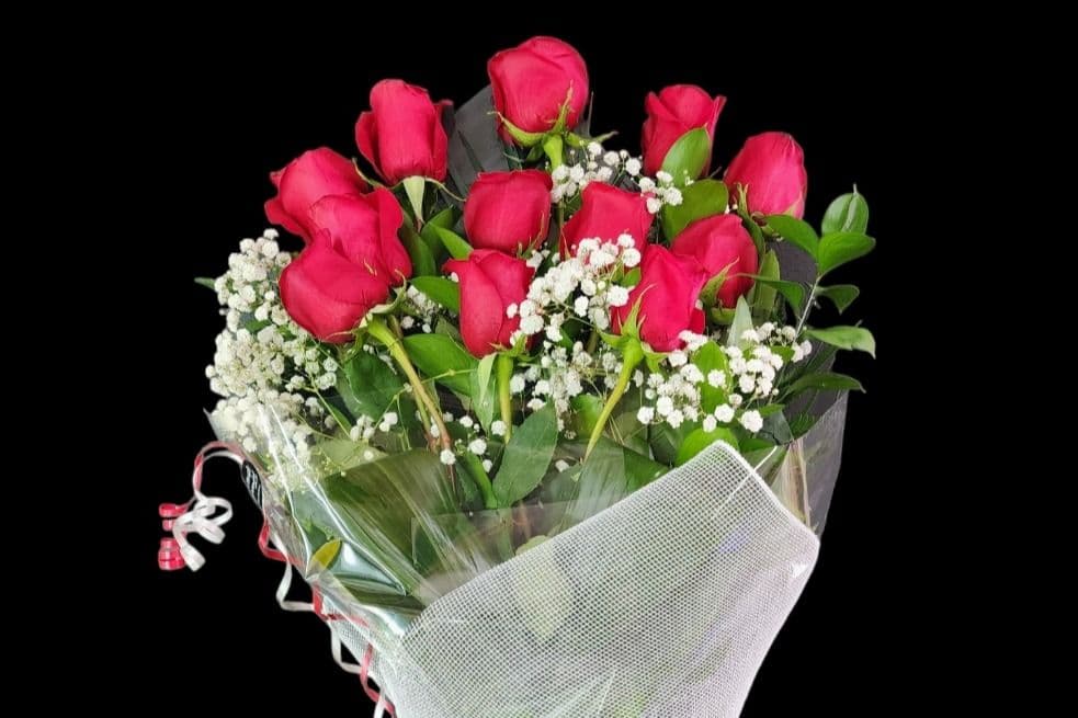 Douzaine de roses rouges / Dozen Red Roses