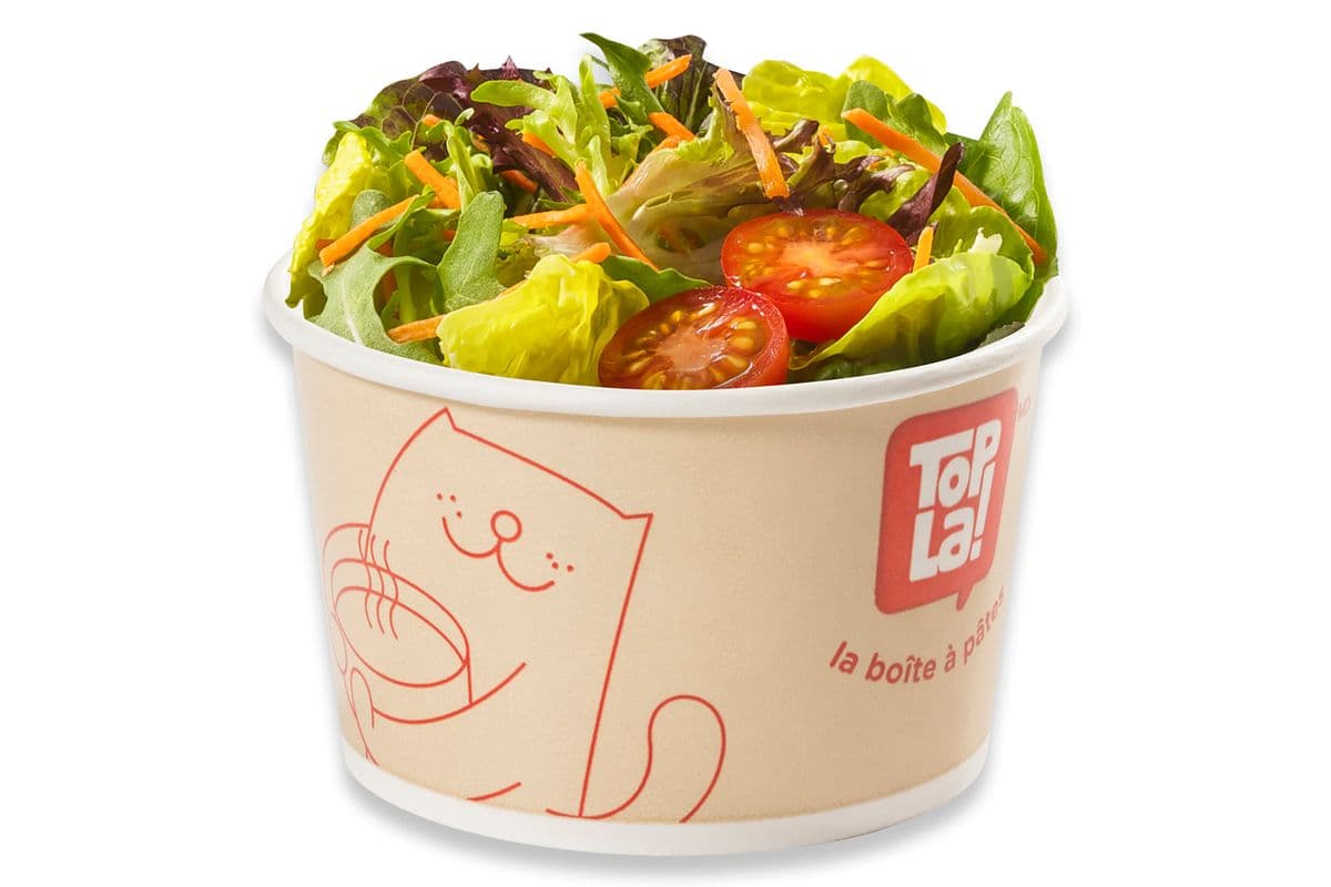 Salade jardinière / Garden Salad
