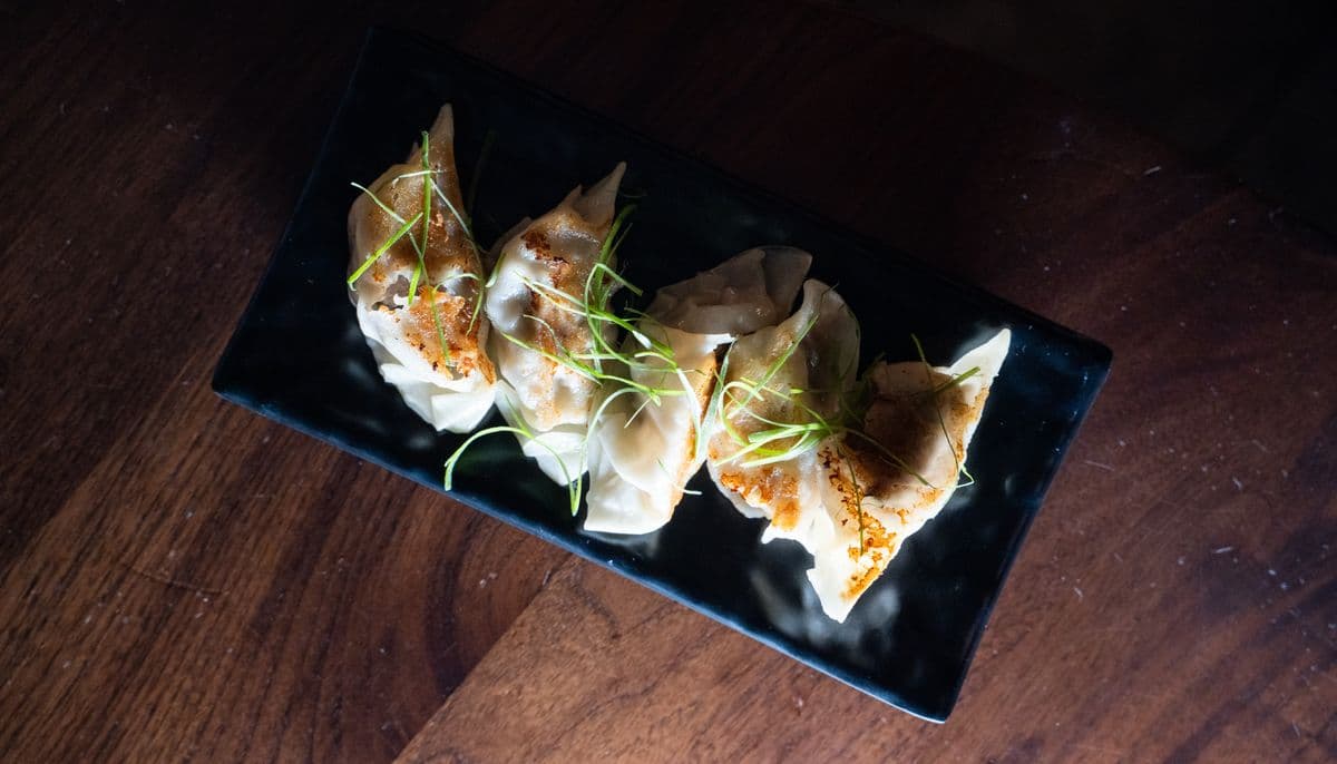 Tofu and Vegetable Gyoza