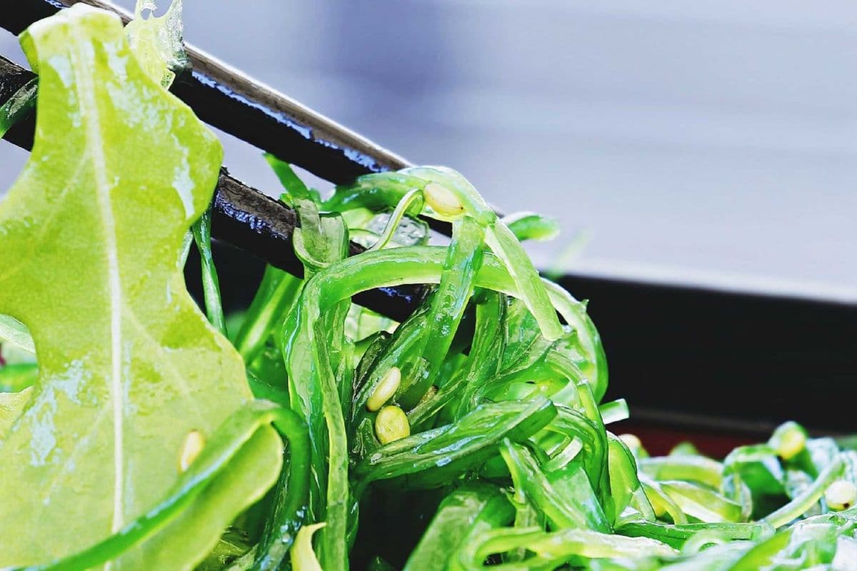 3. Wakame (Seaweed Salad)