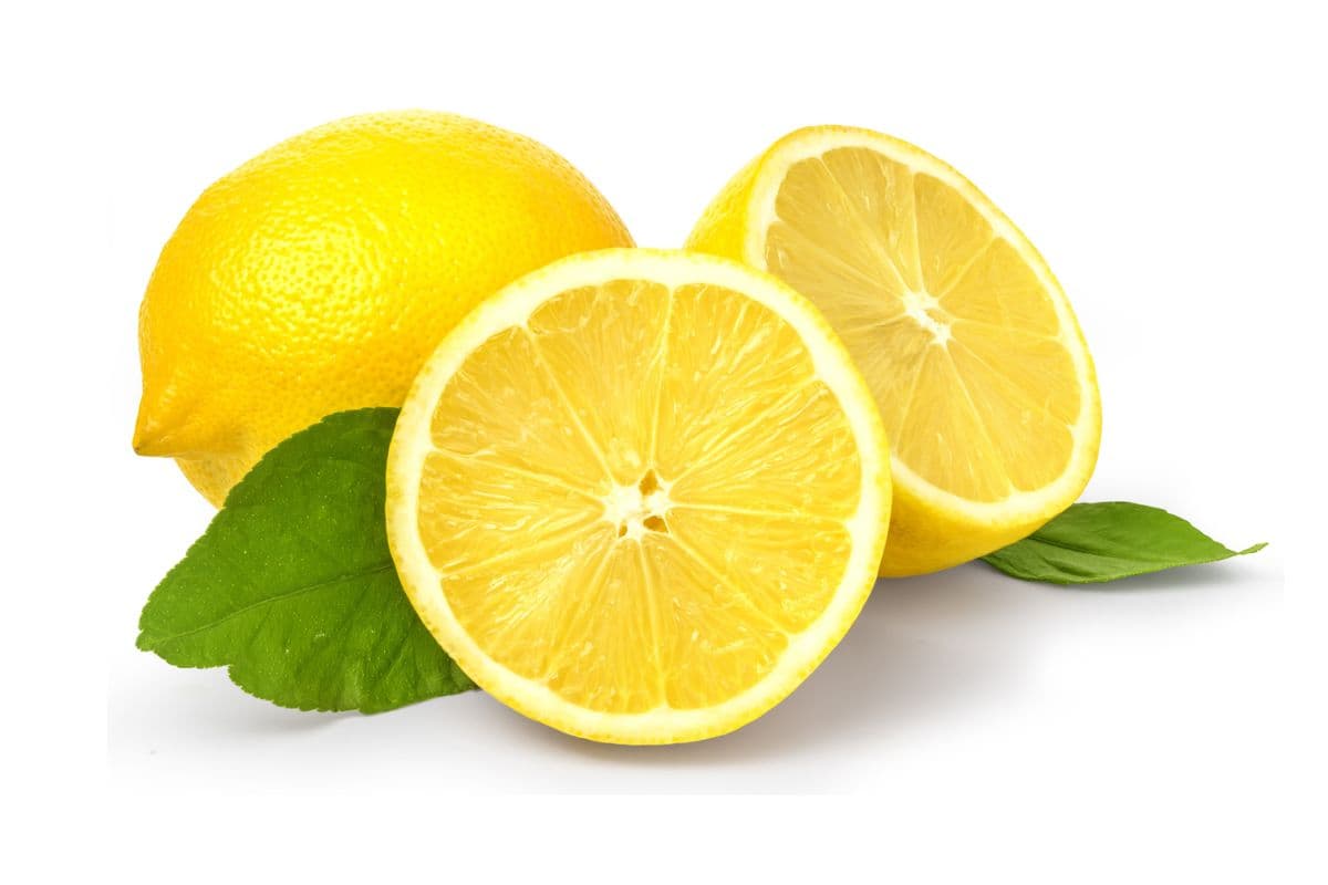 Lemon (Large)