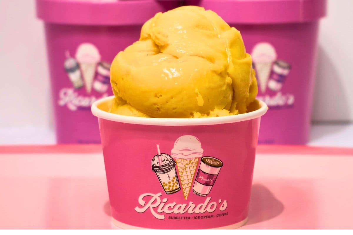 Mango Sorbet (Vegan)