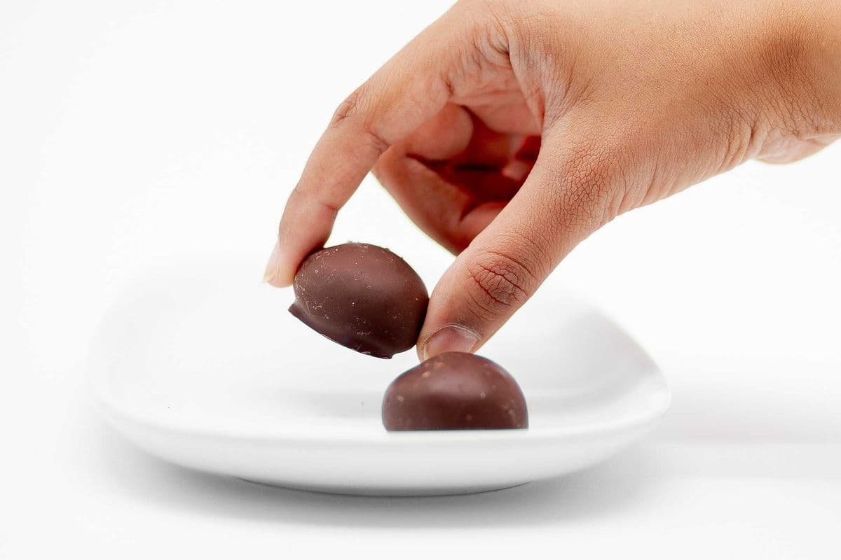Chocolate Protein Bites (2 balls )