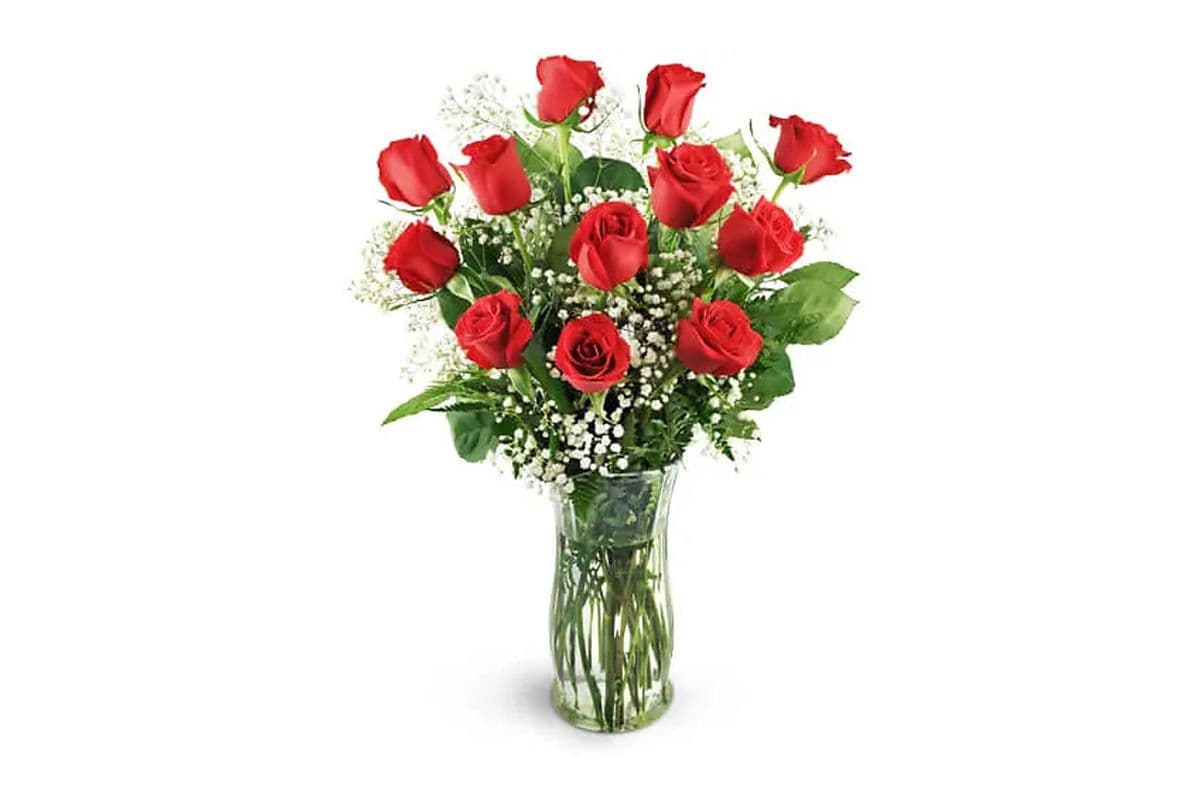 12 Classic Red Roses