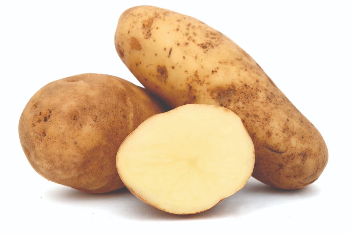 Potatoes Russet (5 lb)