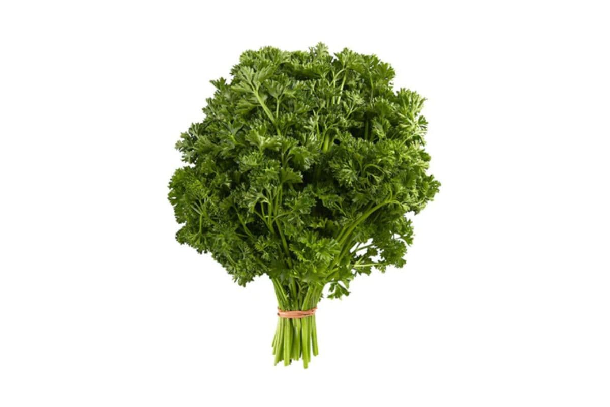 Fresh Bunched Curly Parsley (Jafari Ferferi)
