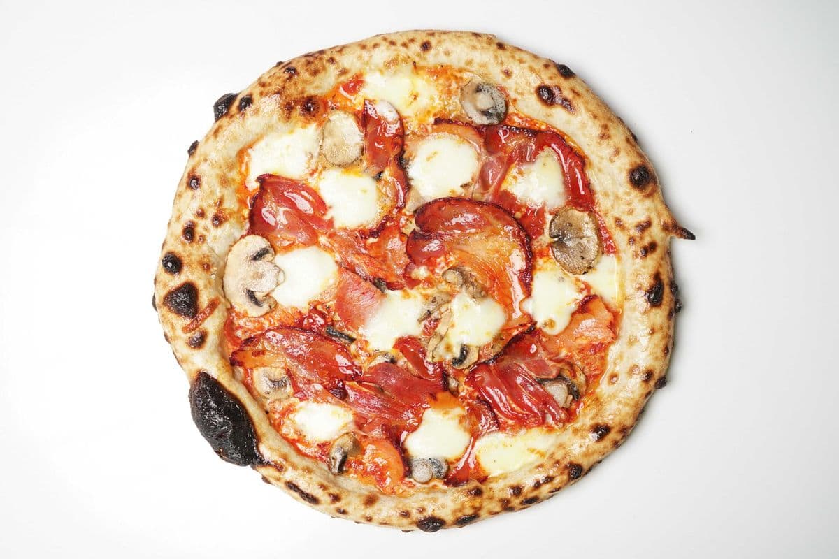 18" Capicola