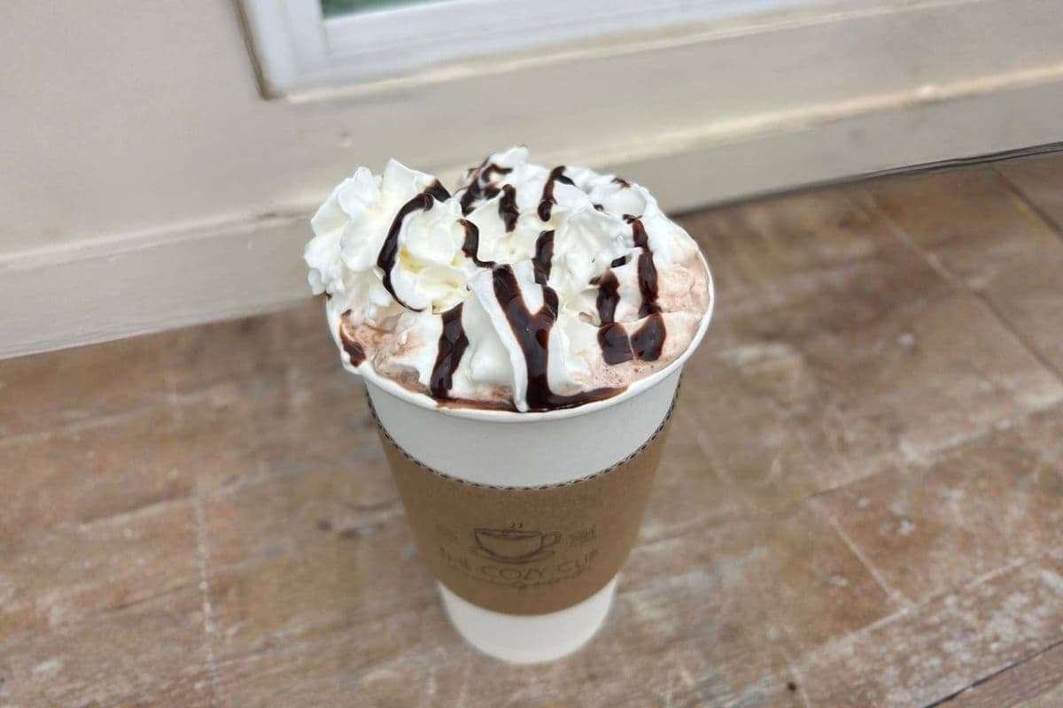 Hot Chocolate (16 oz)