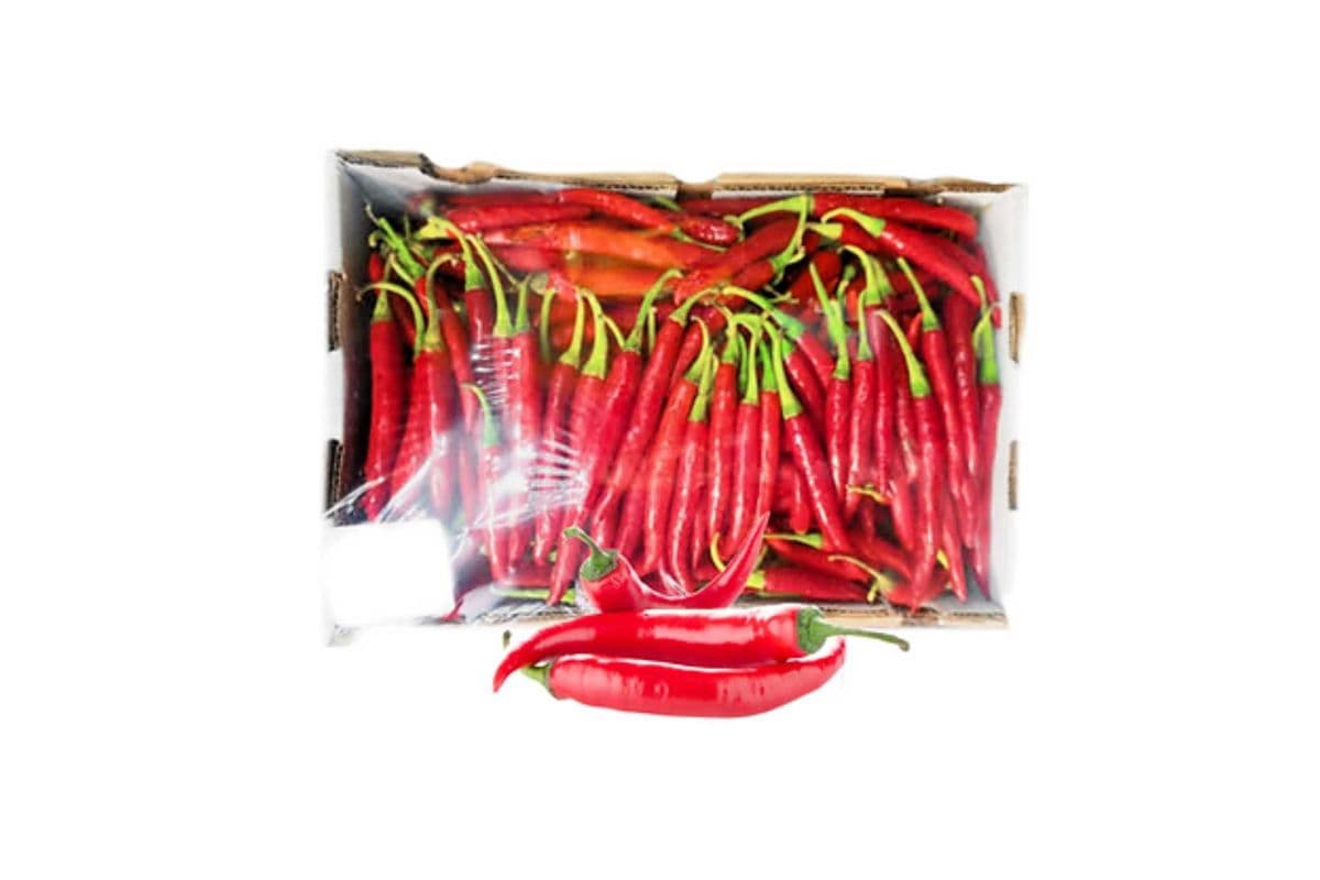Chilli Pepper Box (Shombo)