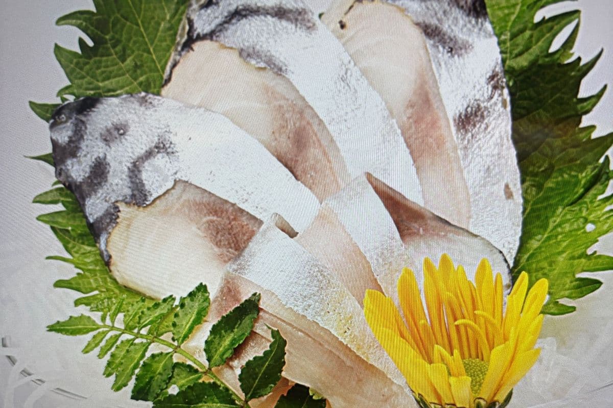 Mackerel Sashimi