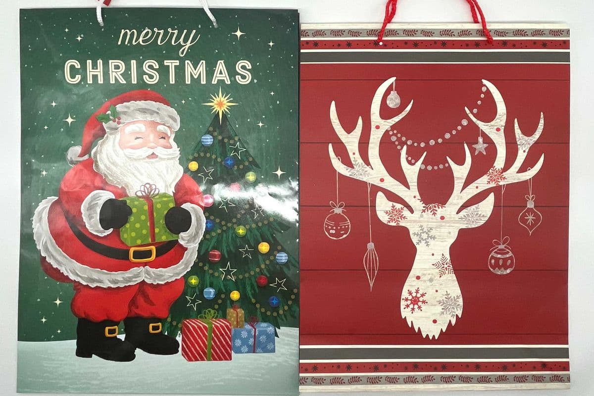 Large Gift Bags