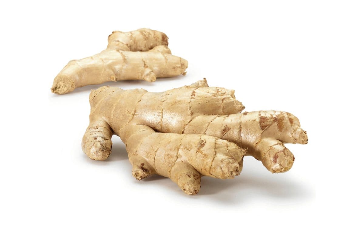 Ginger (1 pack)