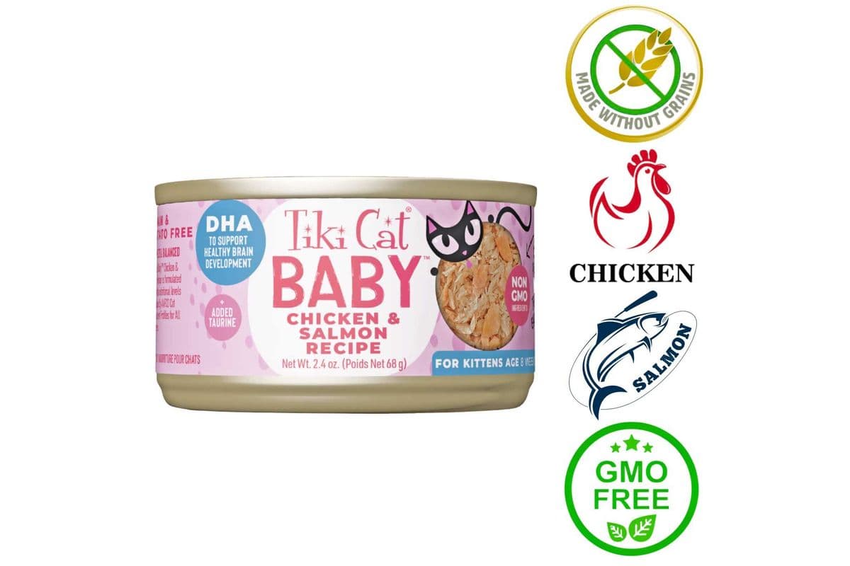 Tiki Cat - Baby Chicken & Salmon Kitten Canned Cat Food - 2.4 Oz