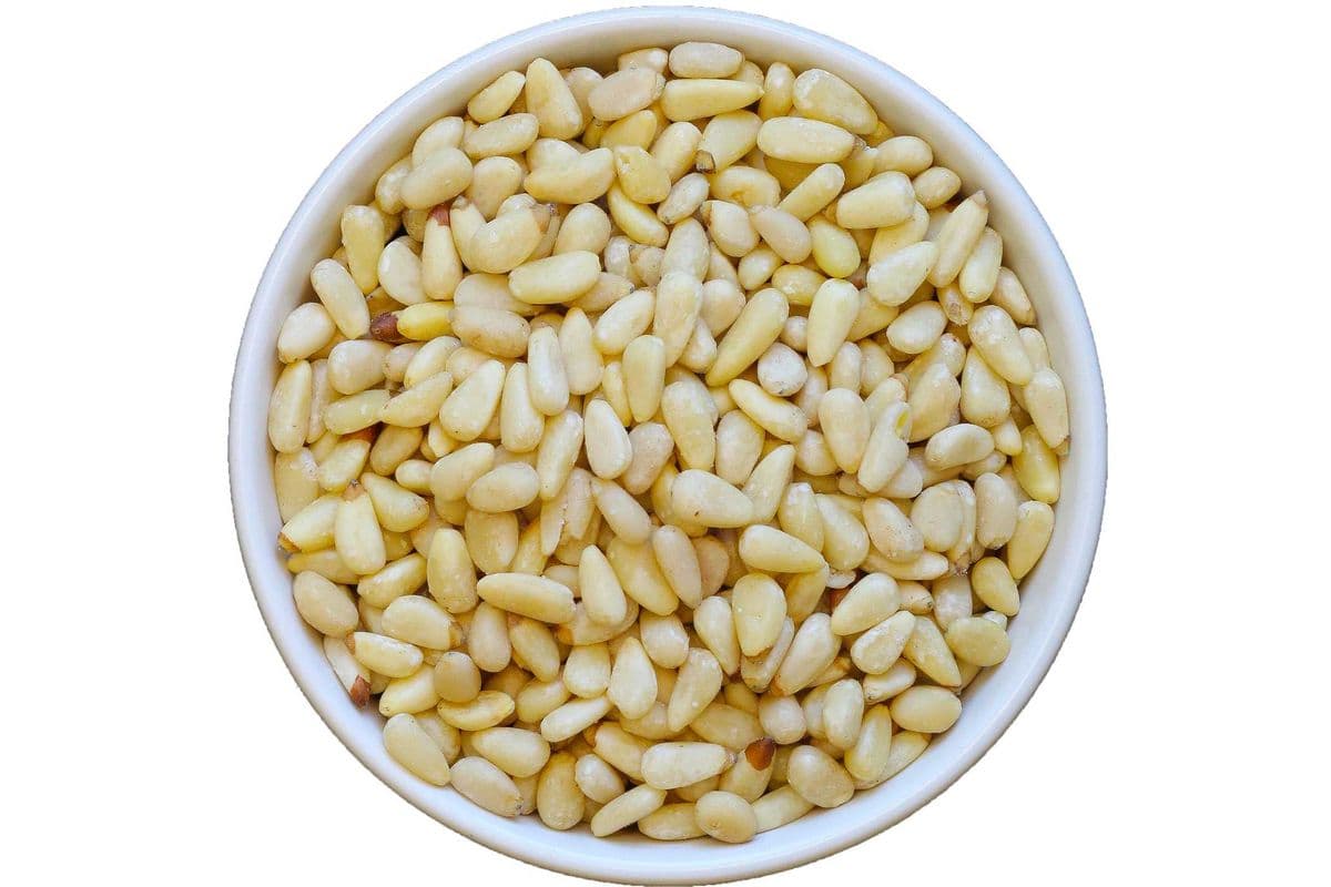 Pine Nuts (Organic) - Raw (1 LB)