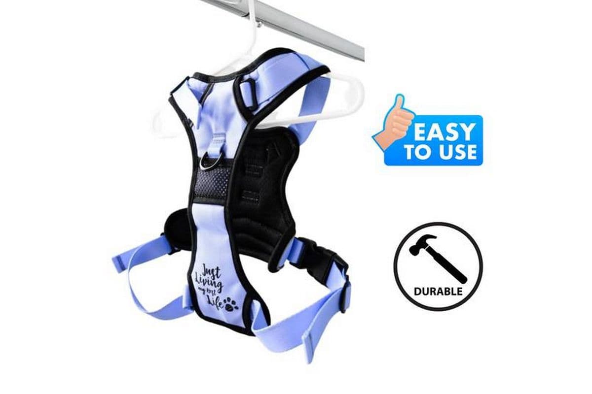 Dexypaws - No-Pull Dog Harness Lilac - XL