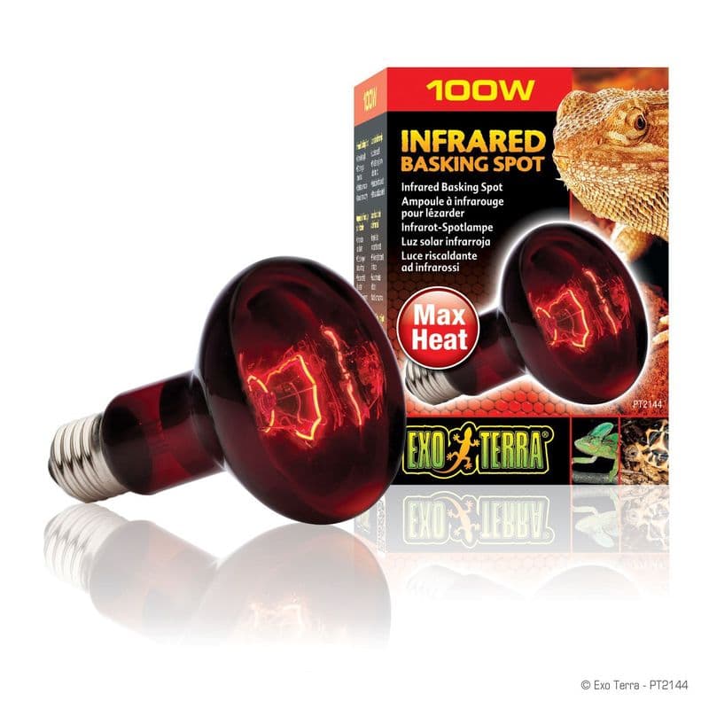 Exo Terra Infrared Basking Spot - R25 / 100W