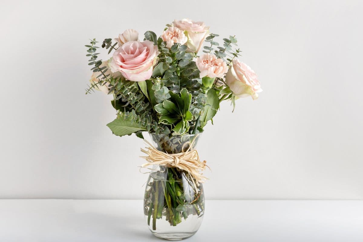 Charlotte Arrangement