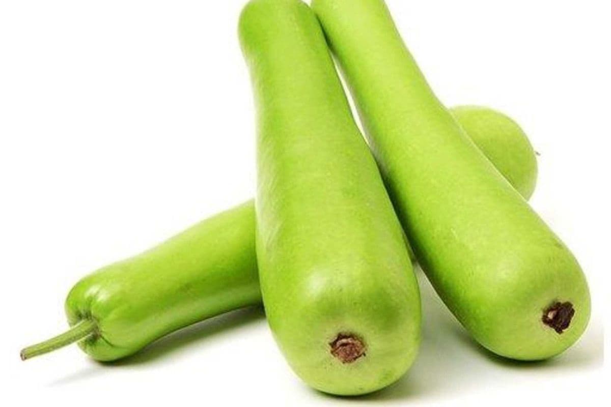 Lauki Squash (1 PC)