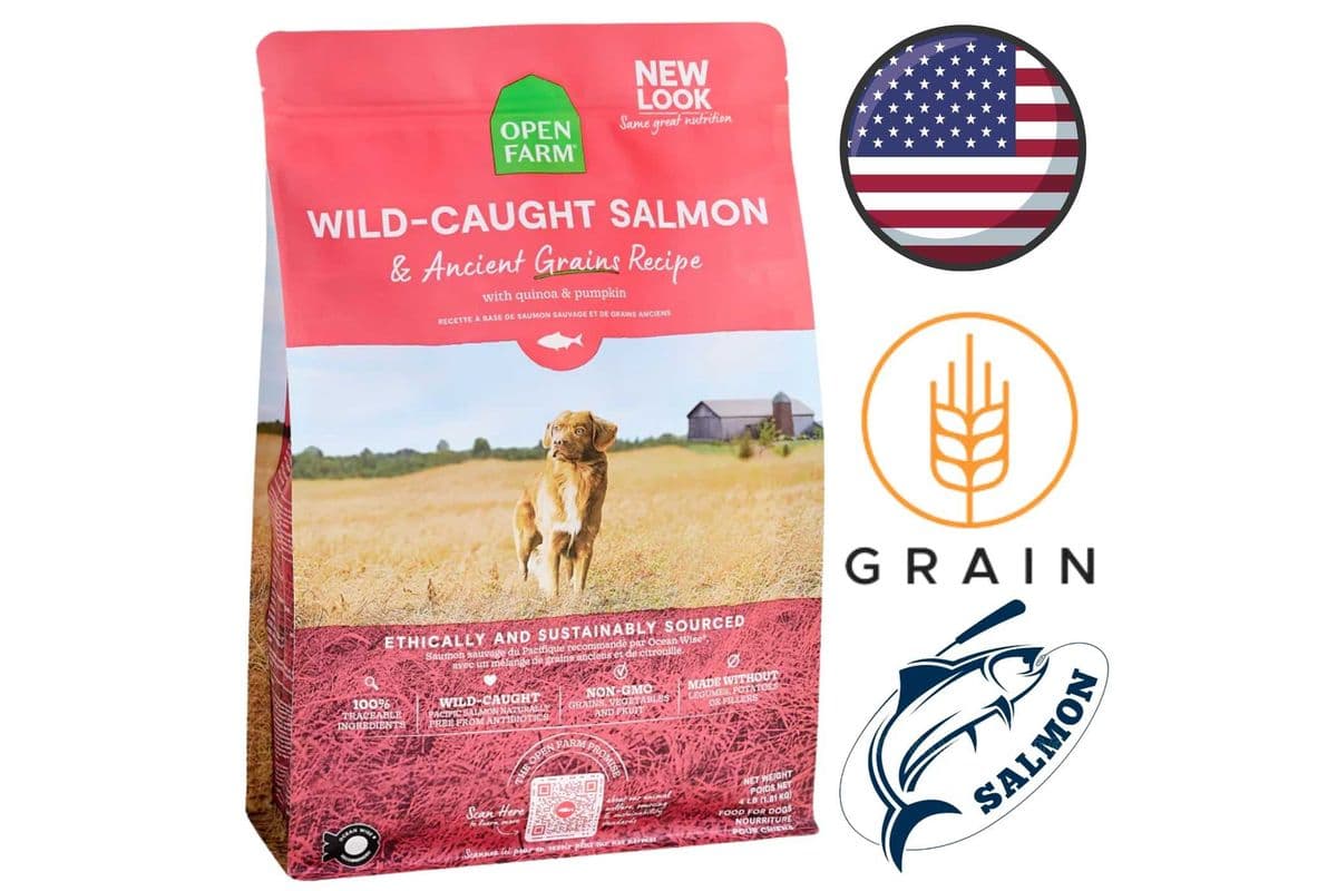 Open Farm - Wild Caught Salmon & Ancient Grains Dry Dog Food - 4 lb