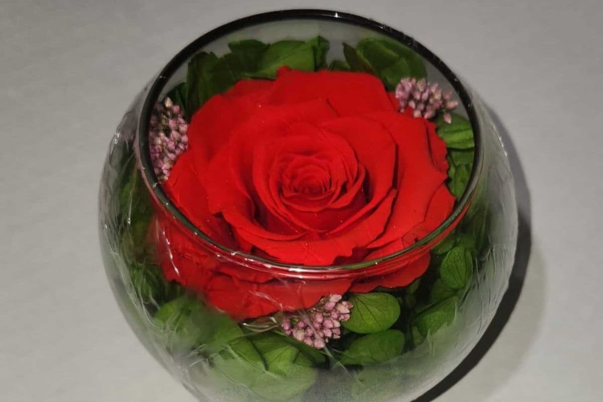 Preserved Red Rose Glass Gift Box