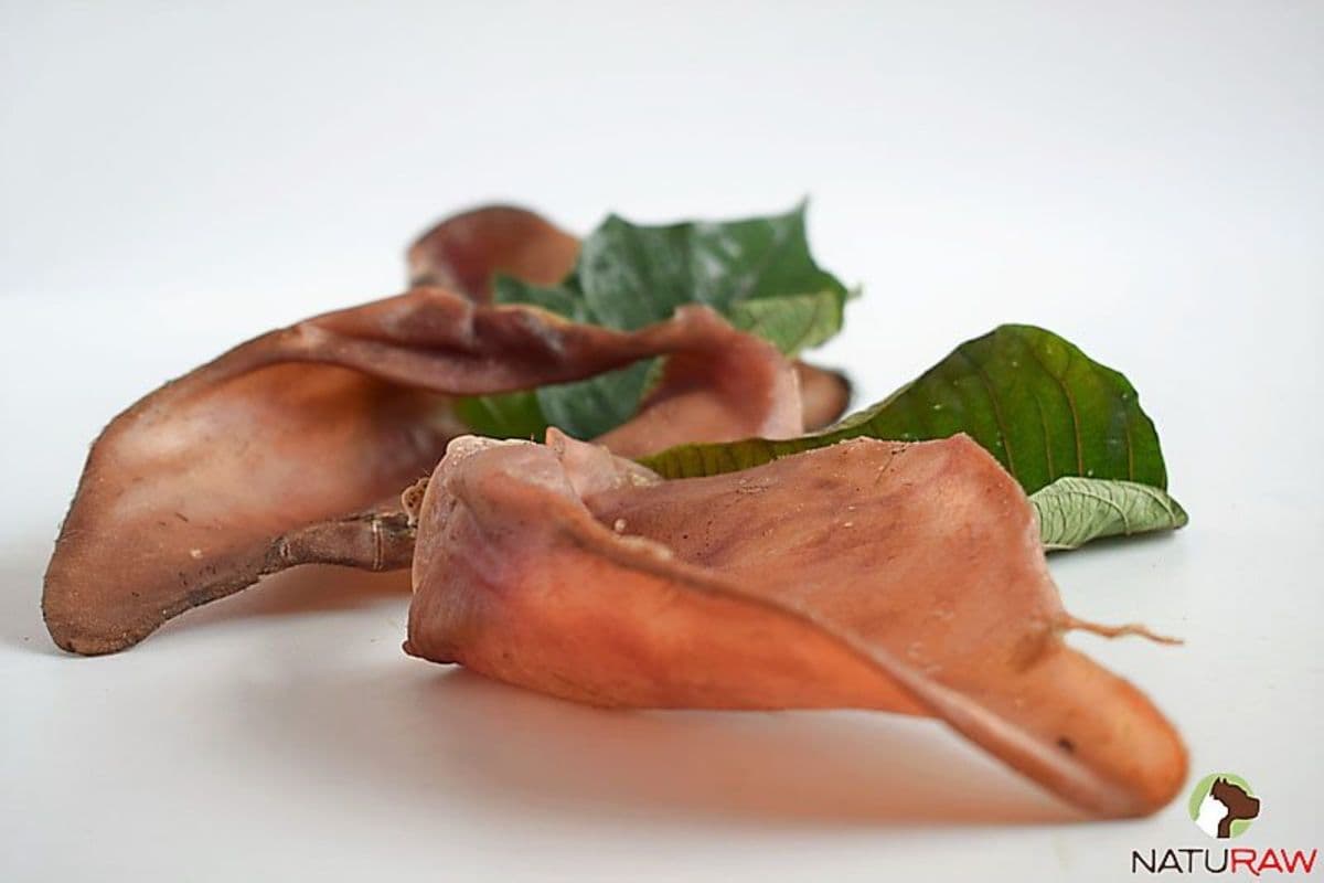 Dehydrated Pig Ears