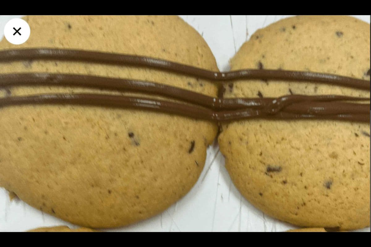 chocolate cookie