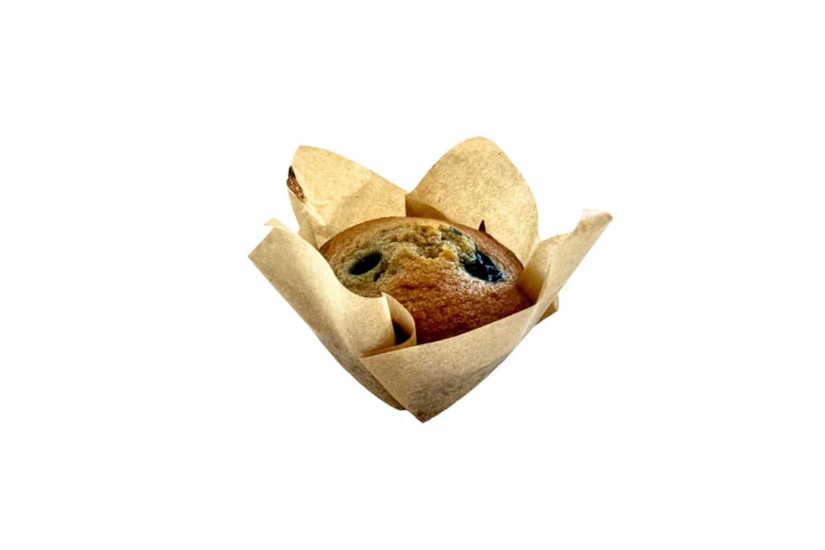 Blueberry Gluten-Free Muffin