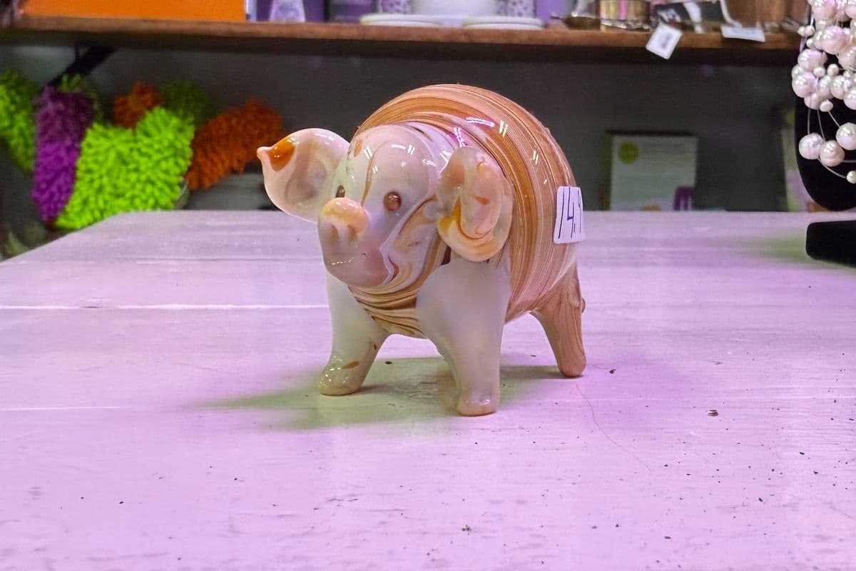 ceramic pig