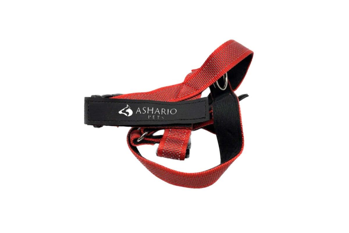 Ashario Pets "BreezyVest" Summer Lightweight Reflective Harness - Red - XL (XL)