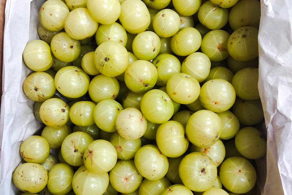 Indian Amla 7.99/lb -Out of stock (1 LB)
