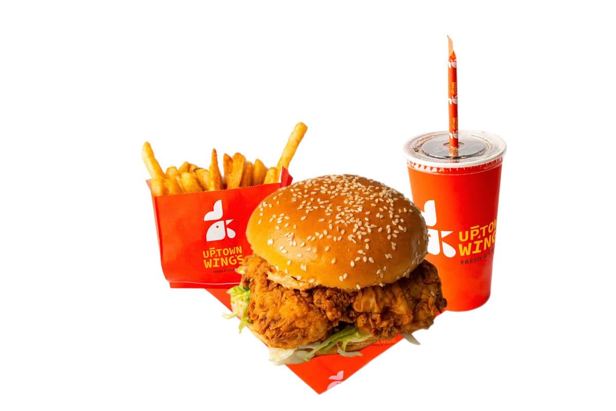 Spicy Chicken Burger with Fries
