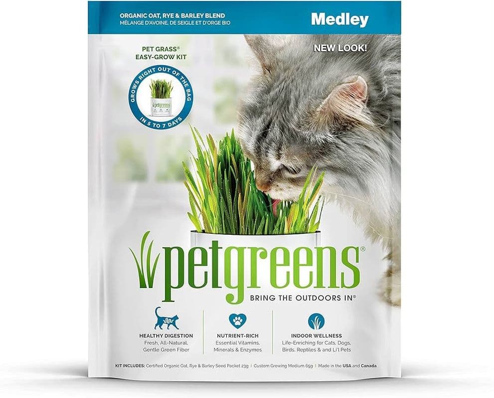 Pet Greens Medley Self Grow Cat Grass Garden Kit 113g