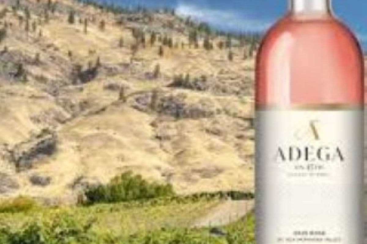 Adega Rose (1 x 750ml)