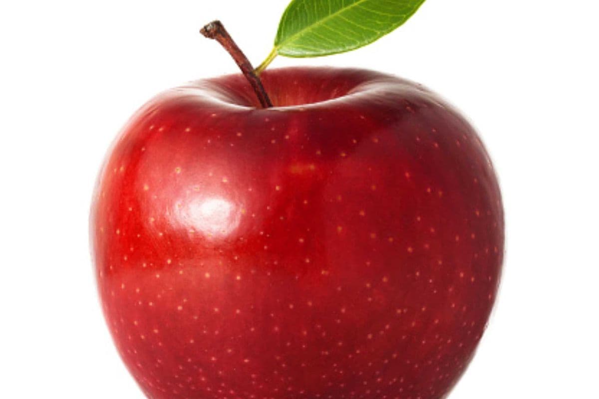 Pomme/Apple