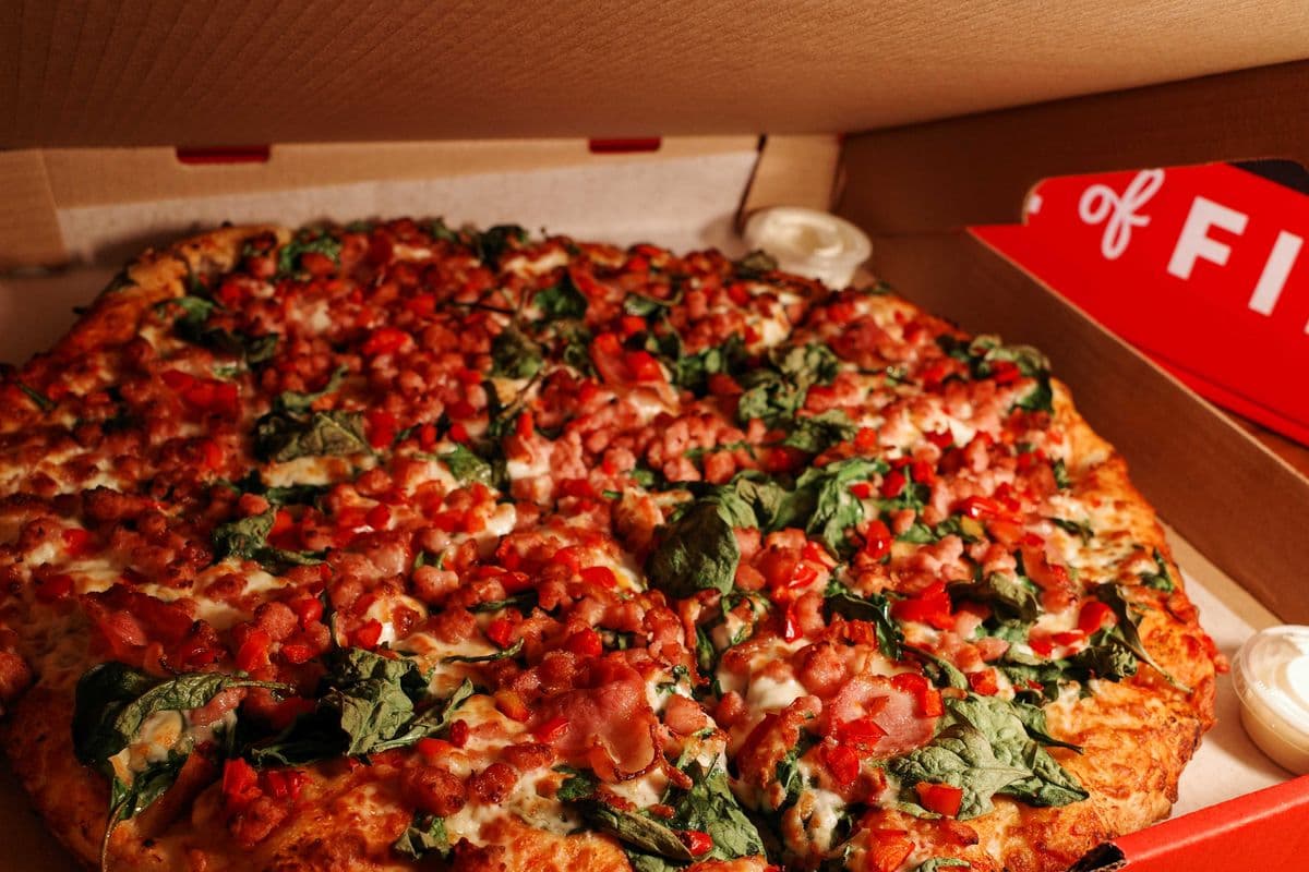 17" Gordon's Favorite (Extra-Large)