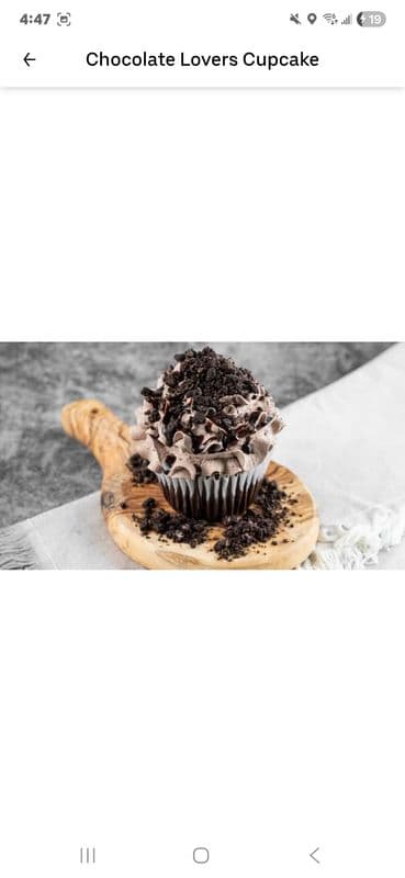 4-Pack Chocolate Lovers Cupcake