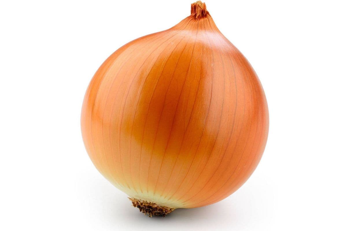 Un Gros Oignon Jaune / One Big Yellow Onion