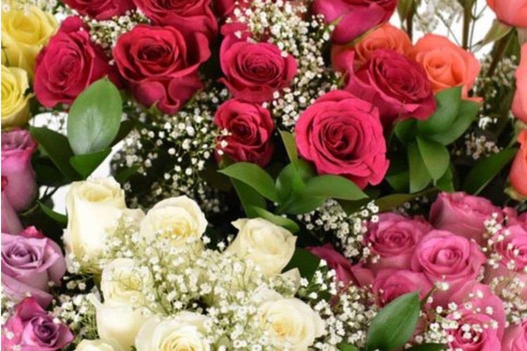 3 Long Stem Assorted Roses With An Adorable Bear