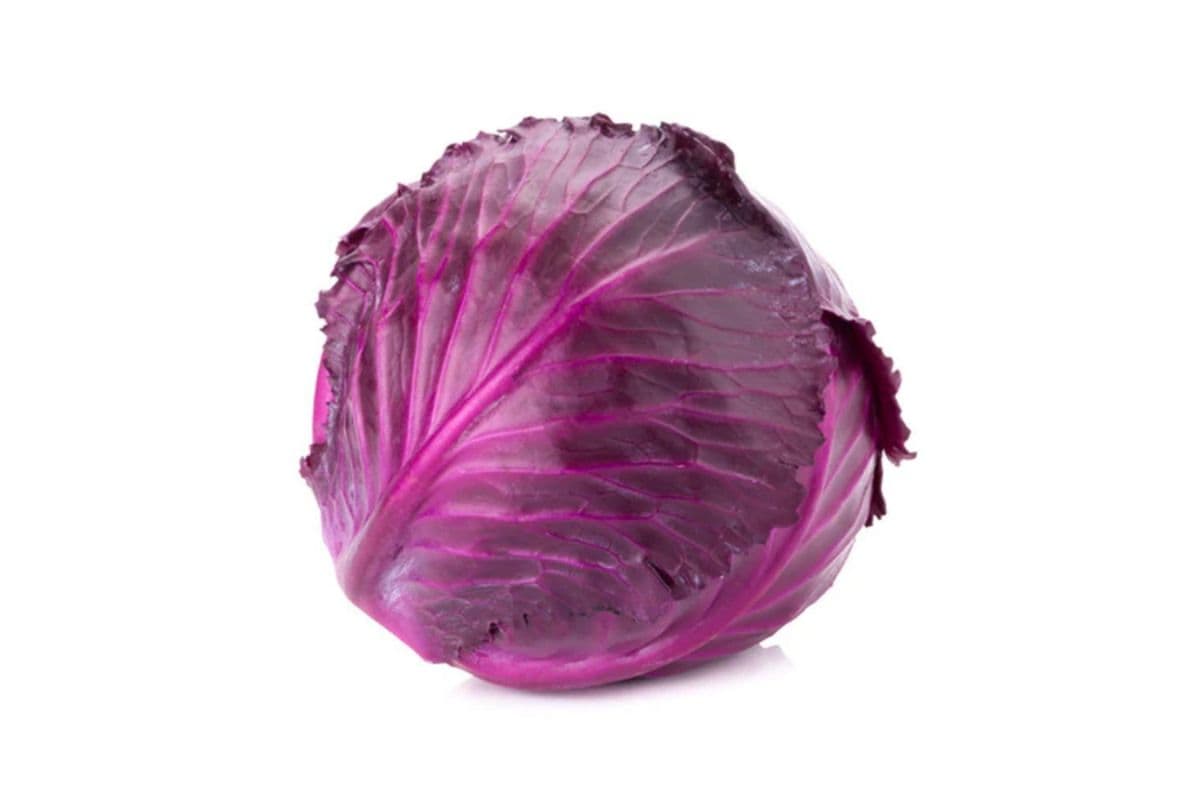 Red Cabbage