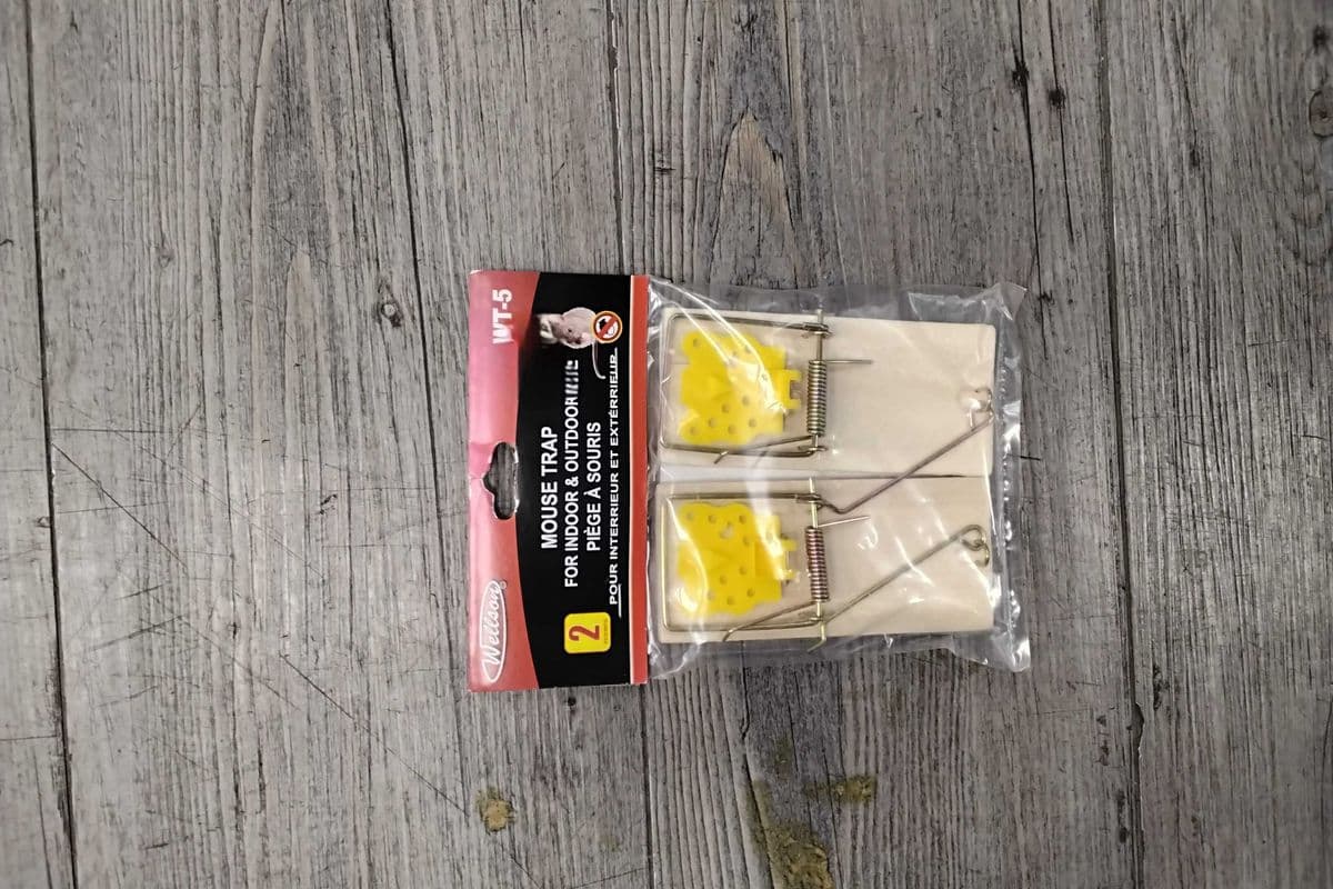 Mouse trap set of 2