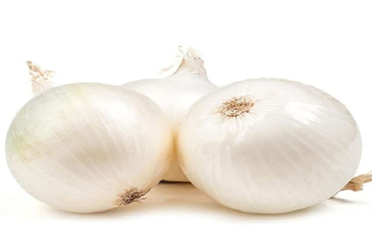 Onion White (1lb)