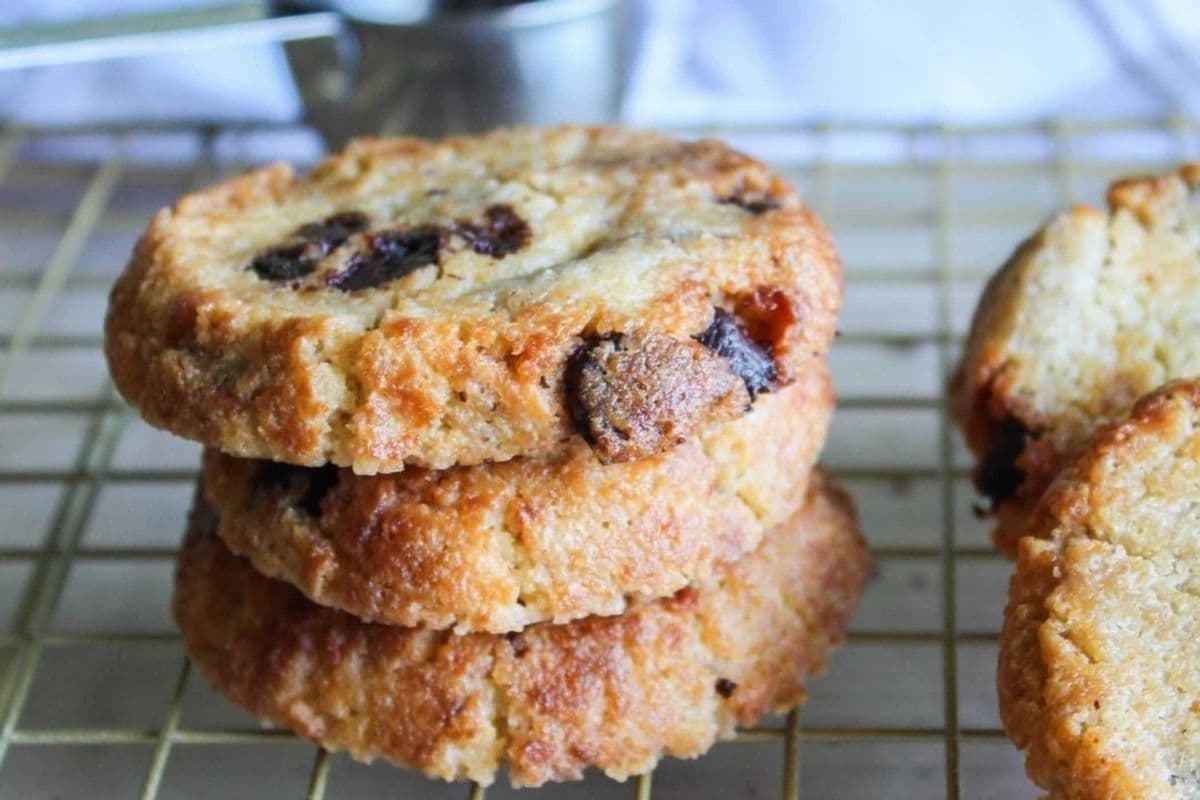 Cookie : Chocolate Chip - Low-Sugar | GF | Diabetic Friendly (256 g)