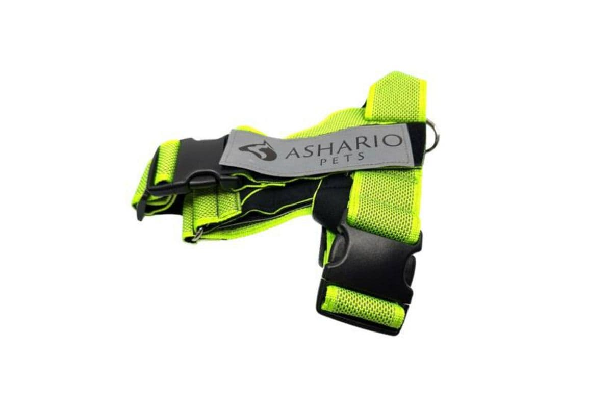 Ashario Pets - "BreezyVest" Summer Lightweight Reflective Harness - Fluorescent Green - M