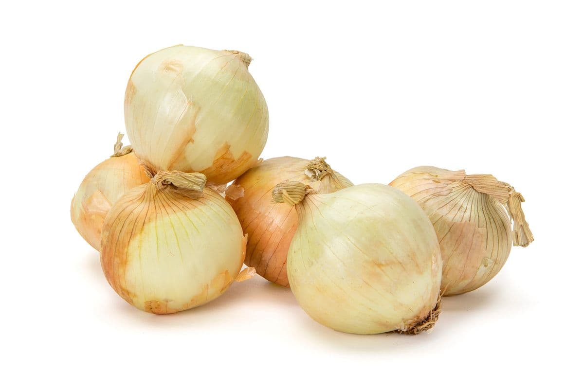 Onions (1 bag)