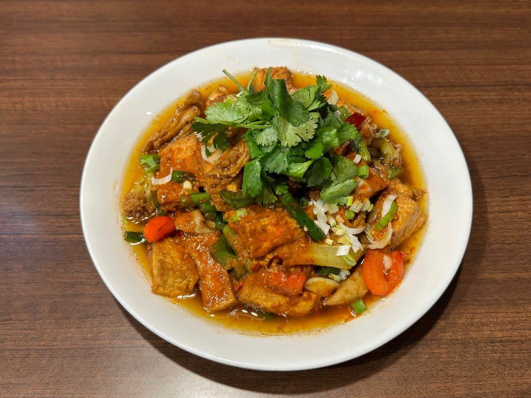 🌶Spicy Braised Pork Intestines with Stinky Tofu / 🌶臭豆腐烧肥肠