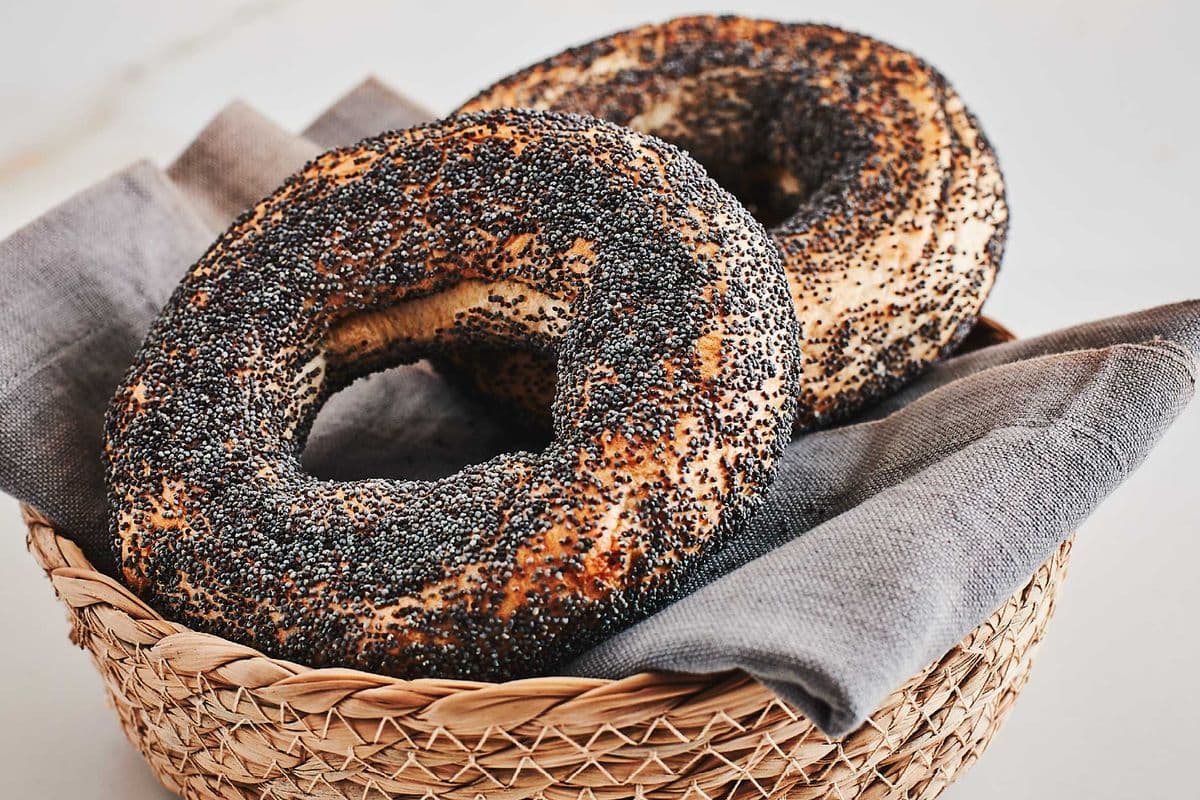 Bagel Pavot / Poppy
