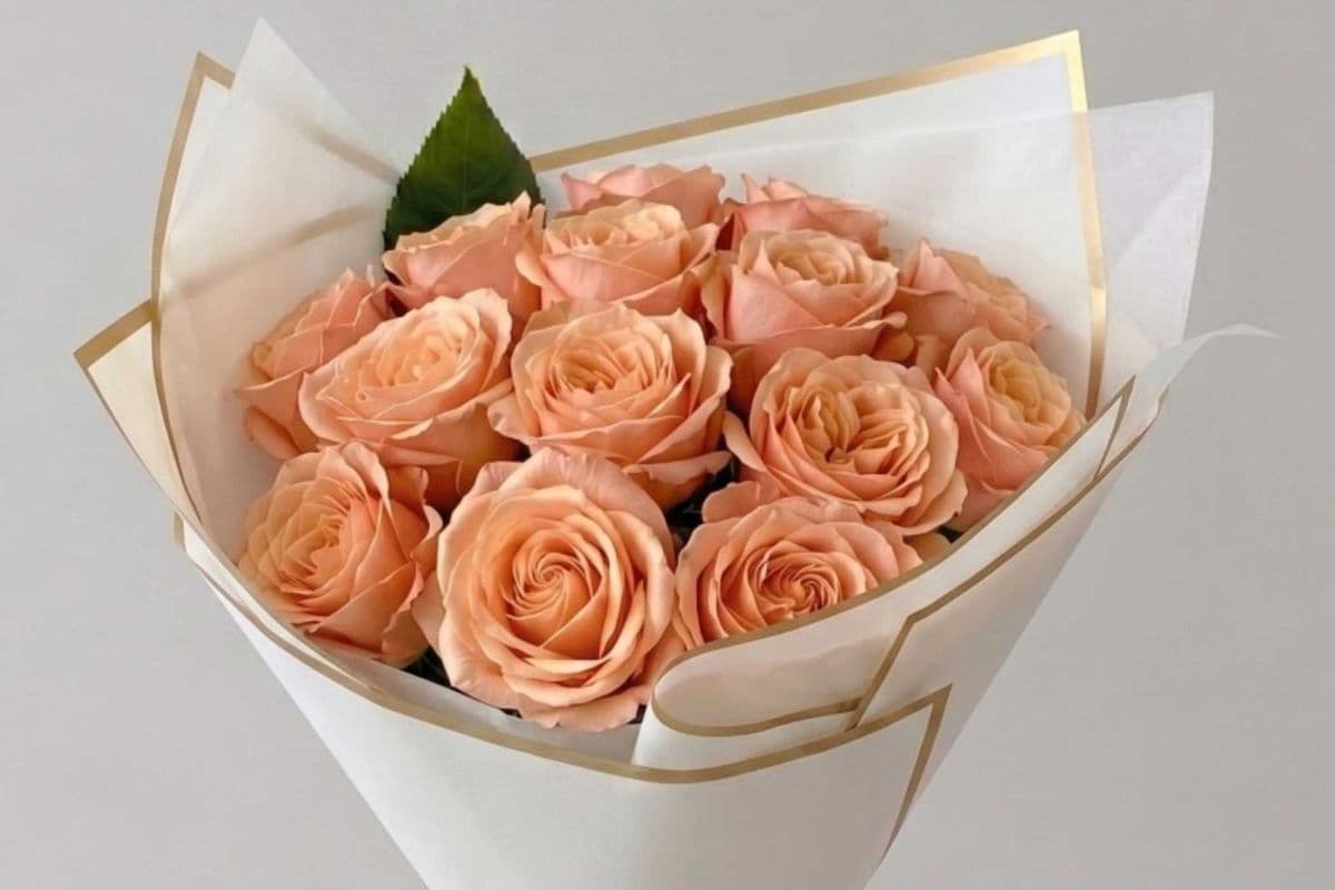 Premium Dozen Roses Special - Peach