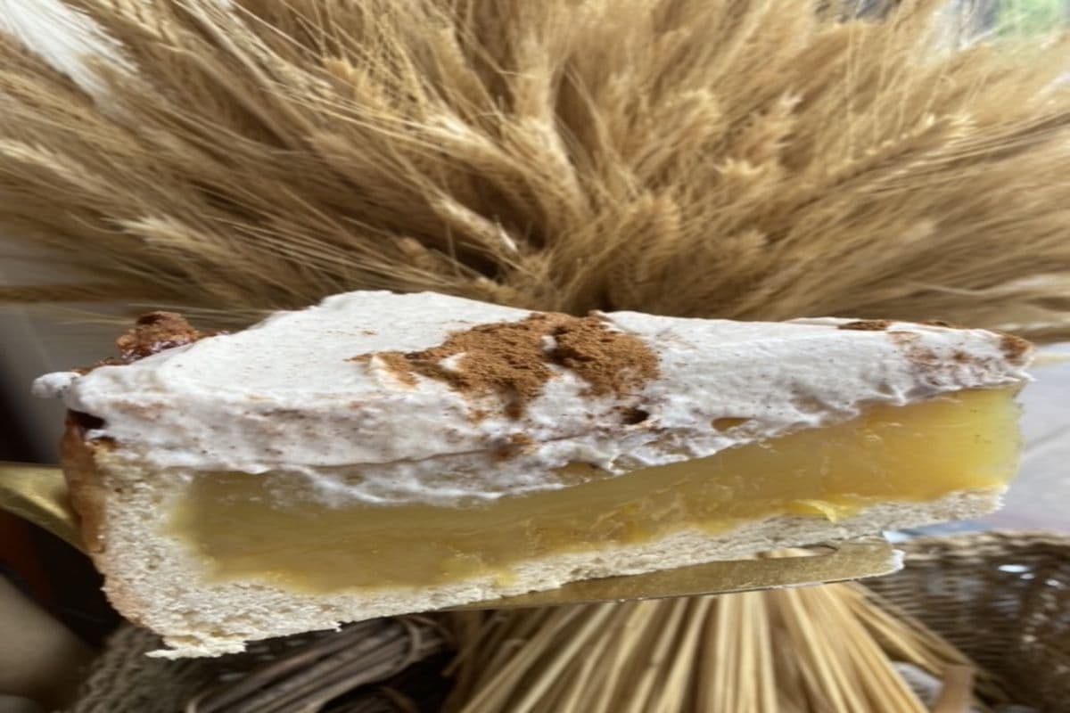 Apfelsaftkuchen
